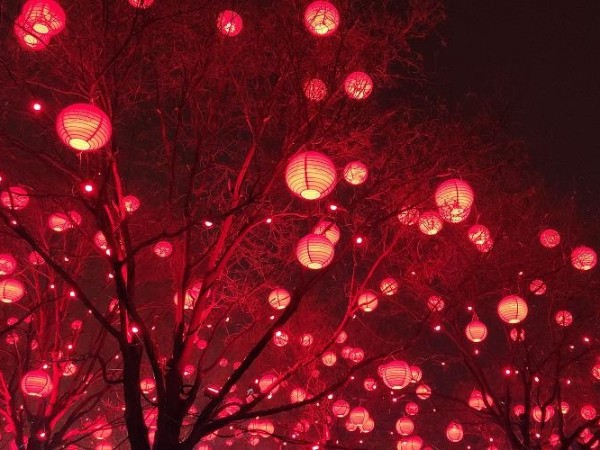 陜西鑫安安防祝您和家人：元宵節(jié)快樂，月圓人圓家更圓